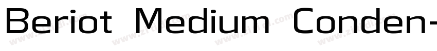 Beriot Medium Conden字体转换